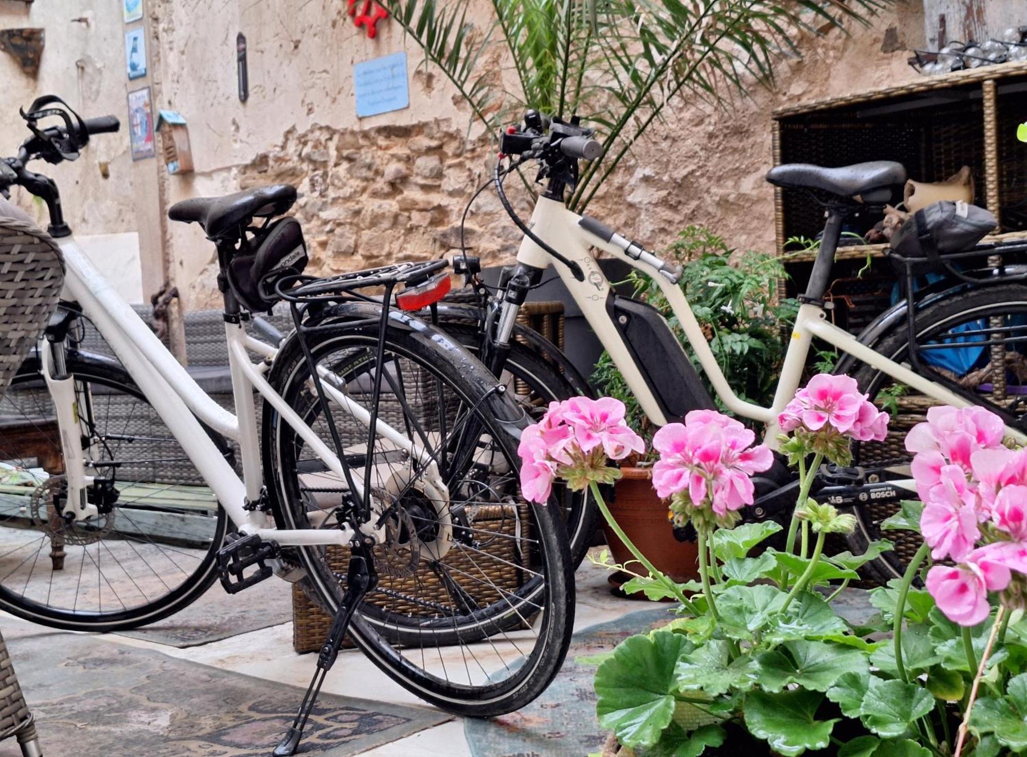 Maison Du Coquelicot Tourouzelle 외부 사진